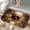 Exploding Skull, variant on 1pc Golden Wavy Lines Pattern Absorbent Non-Slip Bathroom Thickened Flannel Rug Decor,Soft,Quick Drying,Suitable For Indoor/outdoor Use,Bathrooms,Bedrooms,Kitchens,Terrace,Laundry Rooms,16"x24"