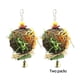 thumbnail image 2 of Greeniant Pelota de ratán de para mascotas, reemplazo bonito, elegante, para el hogar, jardín, Patio, mascotas, juguete para masticar Suministros de alimentación y agua para mascotas 2 piezas, 2 of 6