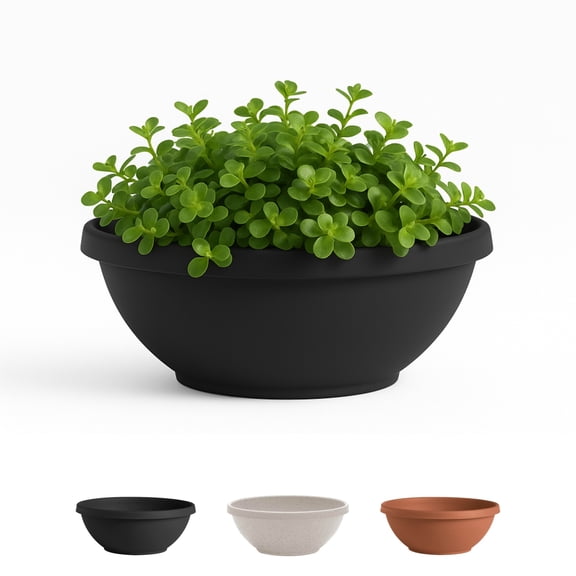 Bloem Terra 14" Round Resin Planter Bowl - Shallow Garden Pot for Cacti, Succulents, Herbs, Moss - Fade-Resistant with Knockout Drainage Holes, Black