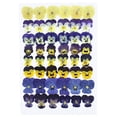 thumbnail image 1 of QualitChoice Pressed Flowers, Fashion Accessories. Soft Sturdy Durable. Suitable For Cake Embellishments, Prom Craft Vibrant Colors Colorful 48 Film, 1 of 6