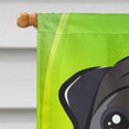 thumbnail image 3 of Carolines Treasures BB2007CHF Black Pug St. Patricks Day Canvas House Flag, 3 of 4