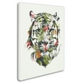 thumbnail image 2 of Tropical Tiger' Canvas Art by Robert Farkas, 2 of 3