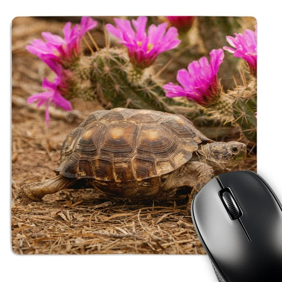 3dRose, USA, Texas. Berlandiers tortoise and strawberry pataya blossoms., MousePad