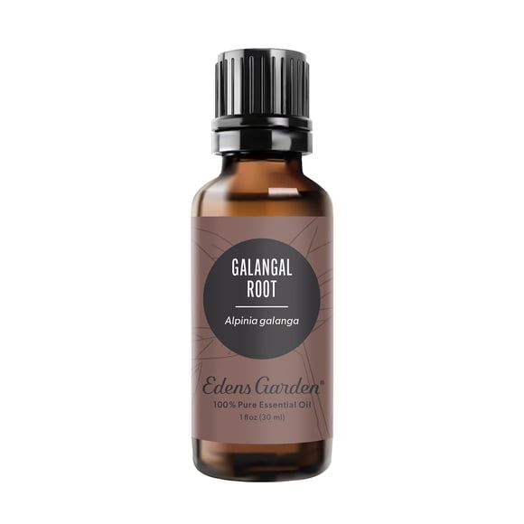 Aceite esencial de raíz de galanga Edens Garden 30 ml (1 fl oz)