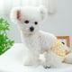 thumbnail image 4 of Pantalones fisiológicos antiacoso para perros y mascotas Pantalones menstruales para perros Pantalones fisiológicos a cuadros, 4 of 5