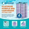 thumbnail image 3 of Hurricane 4 Pack HF7487-04P Platinum Purple Spa Filter Cartridge Replacement, 3 of 7