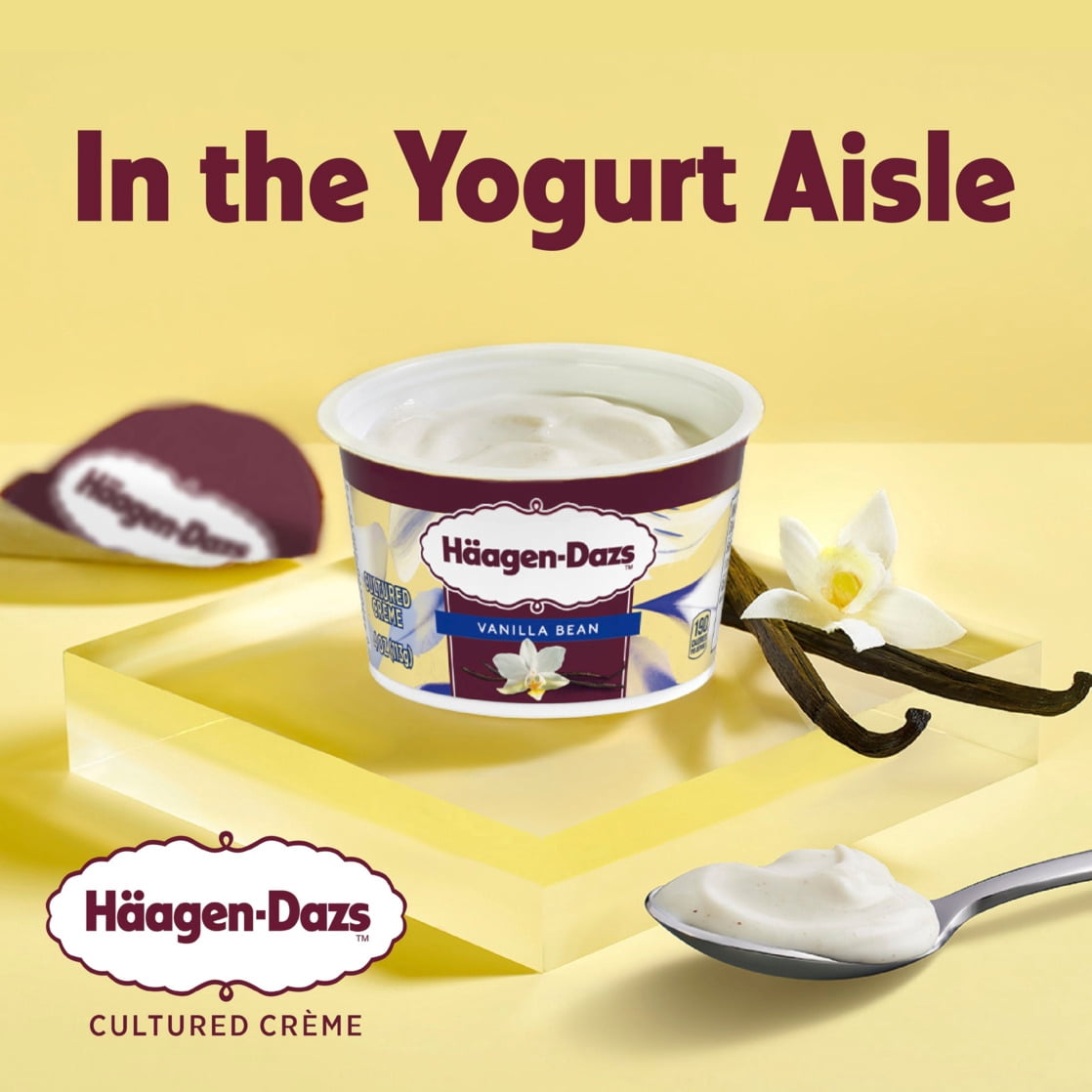 Haagen Dazs Cultured Cream Yogurt Style Snack, Vanilla Bean, 4 oz Cup