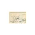 thumbnail image 3 of Historic Map - Foro Romano Italy - Castro 1870 - 34.13 x 23 - Vintage Wall Art, 3 of 5