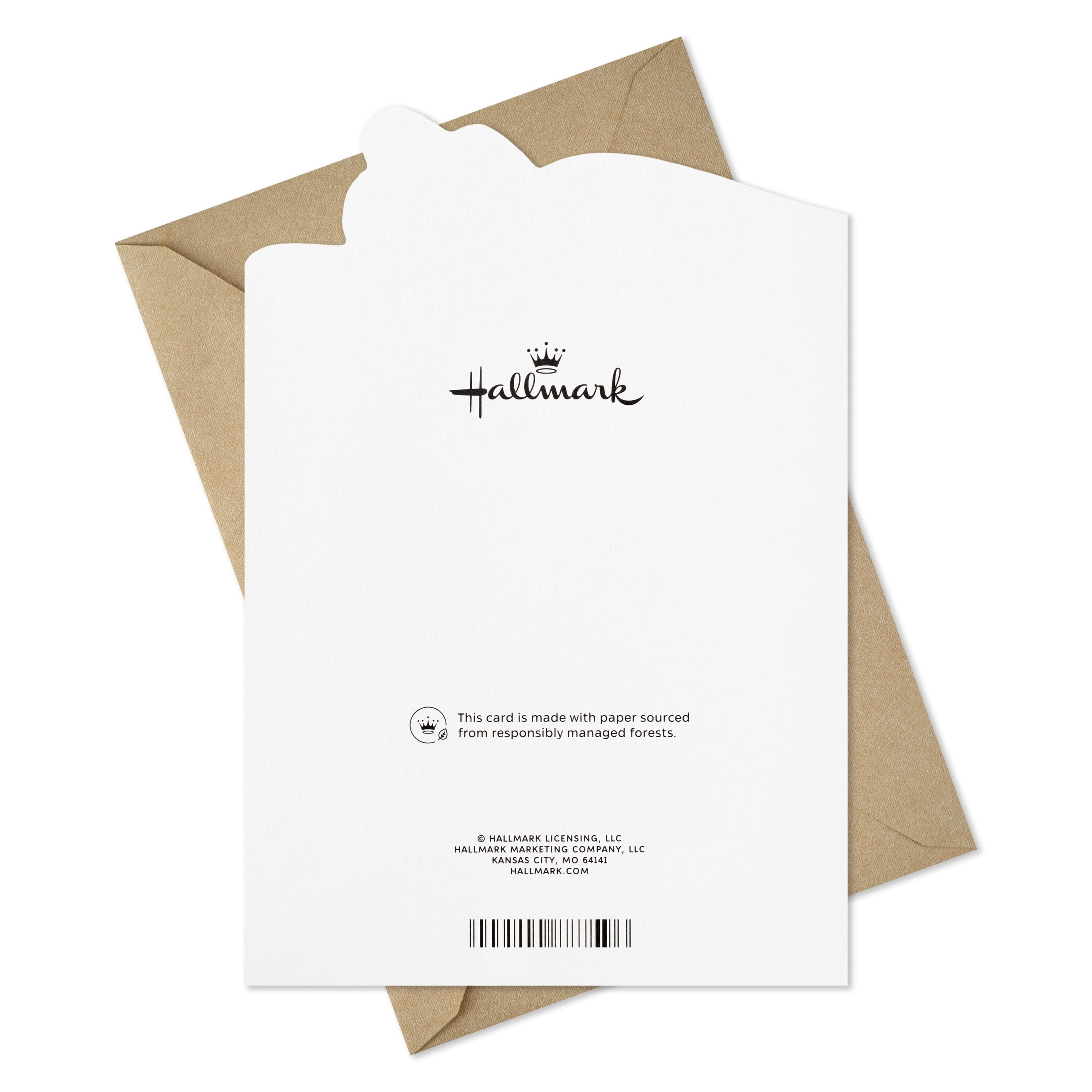 Hallmark Thanksgiving Card for Friend (Big Place in My Heart), 1 Count