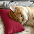 thumbnail image 3 of WUXIAB 2Pcs Microfiber Soft Tiny Pillows,Mini Pillow for Neck,Wrist,Lumbar and Knee,Machine Washable Travel Pillows,11" x 7", 3 of 3