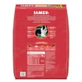 thumbnail image 3 of IAMS 019014805358 44 lbs Proactive Health Adult Lamb Rice Dry Minichunk Dog Food, 3 of 3