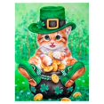 thumbnail image 1 of 5D DIY Diamond Kits de patrones de de parcial para adultos, Dinero gato Hugo Kit de pintura de diamante, 1 of 7