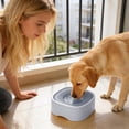 thumbnail image 6 of Ailezt Spill Proof Water Bowl Large Capacity No Dish Slow Drinking Design With Guard Base For Stability Puppy Bowl Crate Travel Indoor Outdoor Water Bo, 6 of 6