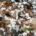 thumbnail image 3 of Artificial Snow Powder,Artificial Snow Powder Christmas Simulation Snow Perform Prop for Party Christmas Decoration Children Kid Gift,Christmas Scene Decoration Artificial Snow, 3 of 3