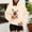 Beige, variant on Hoodie with Dog Pouch Hoodie with Dog Pouch,Sweatshirt with Dog Pouch, Oversized Pet Hoodie Carrier Large Pocket Puppy Kitten Dogs Holder Women's Hoodie L