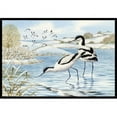 thumbnail image 1 of Carolines Treasures ASA2190MAT Tapis Intérieur Ou Extérieur Avocet - 18 x 27, 1 of 4