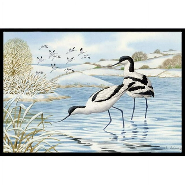 Carolines Treasures ASA2190MAT Tapis Intérieur Ou Extérieur Avocet - 18 x 27