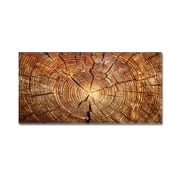 Rectangle Simulation Wood Grain Printing Absorb Water Carpet Antislip Kitchen Floor Mat Tree pattern 01 40*60cm