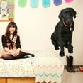 thumbnail image 2 of Wallhogs Dog VIII Cutout Wall Decal, 2 of 2