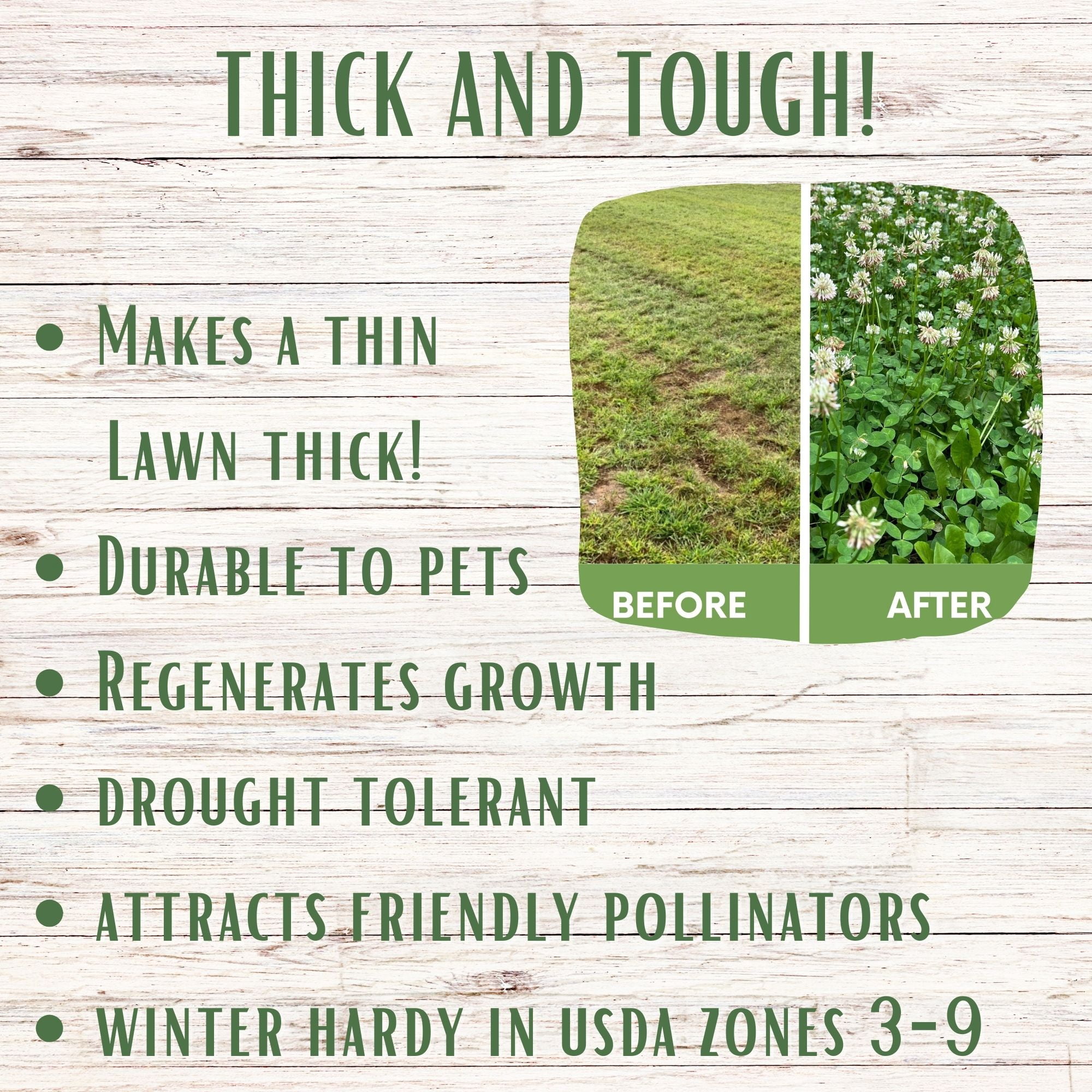Flawn Seed Kits 1000 Sqft Thick Bee Lawn Shaker, Dutch White Clover, Self-Heal Fine, Fescue Grass Flower Seeds, Perennial