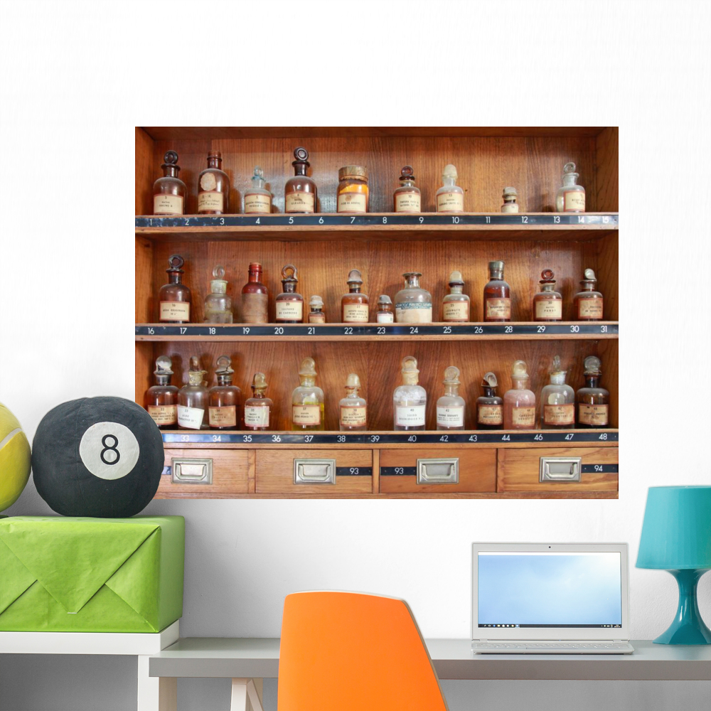 7226-f14 Wall Mural by Wallmonkeys Peel and Stick Graphic (36 in W x 28 ...