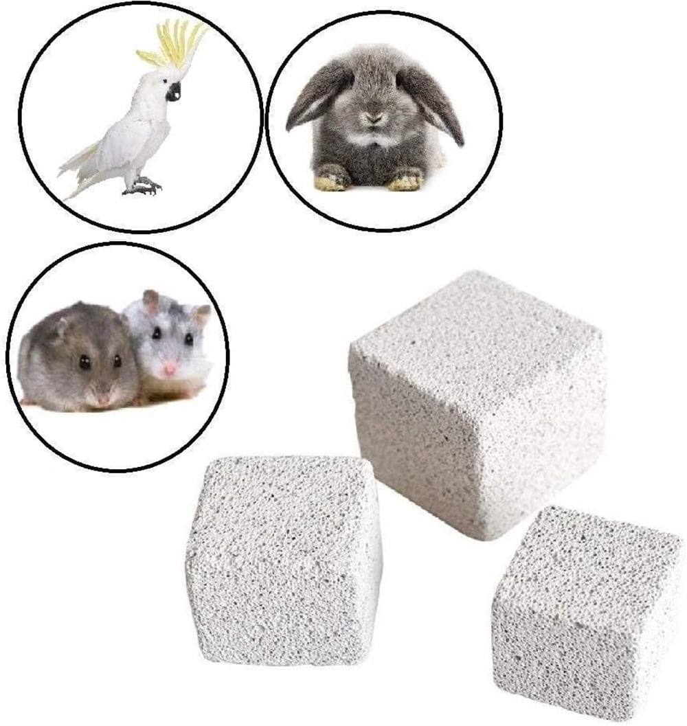 Triani 10Pcs Hamster Chew Toy Lava Square Stone Teeth Grinding Toys 1.78" Small Animal Lava Bites for Hamsters Chinchillas and Parrot