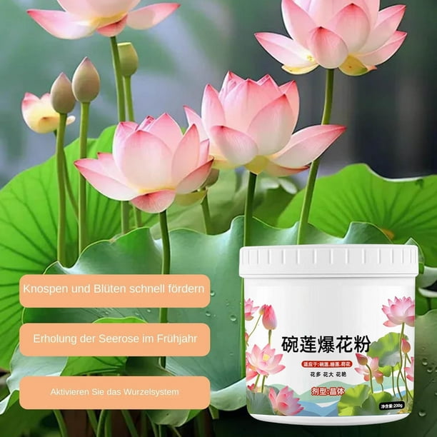 Lotus Foods Engrais Pour Plantes Aquatiques, 200 G D'engrais Pour