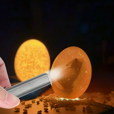 BESTONZON 1Pack Egg Shaped Candling Light for Chicken Eggs Outdoor Use