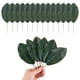 thumbnail image 1 of Paquete de 20 hojas artificiales, hoja verde falsa con tallos para bricolaje 6.3x19.5cm, 1 of 1