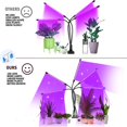 thumbnail image 2 of Lumière de Croissance pour Plantes d'Intérieur, 150 Lampes LED, 10 Niveaux de Luminosité Réglables, 3 Modes de Commutation Fonction de Minuterie Auto ON/Off, 5 Cols de Cygne Réglables avec Rouge Bleu+ Spectre Complet pour Graines Fleurs, 2 of 7