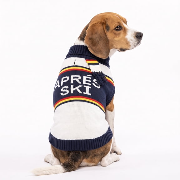 Vibrant Life Holiday Apres Ski Sweater for Dogs, Multicolor, M