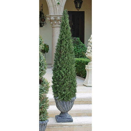 The Topiary Tree Collection: Medium Cone