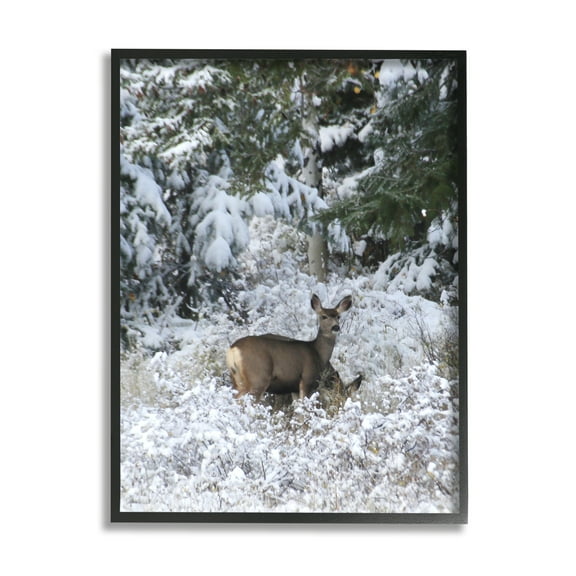 Stupell Industries Deer in Winter Trees Animals & Insects Photography Black Framed Art Print Wall Art, 11 x 14
