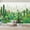 Color 3, variant on Wallpaper Whimsical Woodland Scene Rabbits Fox Birds Flowering Tree Peel and Stick Wall Murals 100"H x 144"W Removable PVC Wall Paper Self-Adhesive Wall Paintings Art Decor for Bedroom Living Room