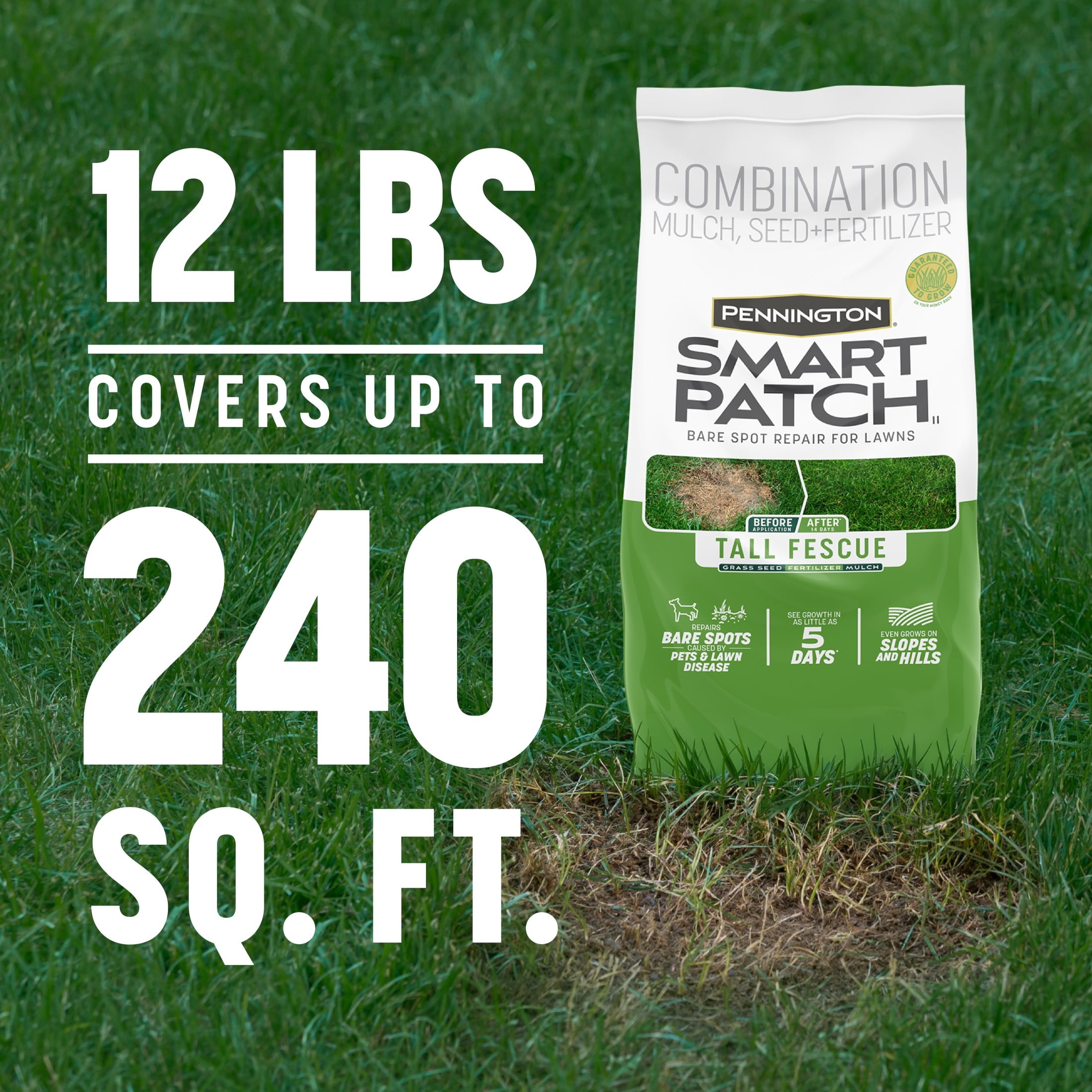 Pennington Smart Patch Tall Fescue Grass Seed Mix, for Sun to Partial Shade, 12 lb. Bonus Size