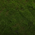 thumbnail image 4 of Phenofice Realistic Artificial Grass Mat Green Turf for Event Layout Garden and Wall Decoration, 4 of 6