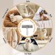 thumbnail image 4 of Rodillo quitapelusas reutilizable para ropa Herramienta para eliminar el pelo de gatos y perros del sofá, la cama, el asiento del coche y la alfombra Herramientas reutilizables para limpiar pelusas, 4 of 5