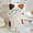 Multicolor, variant on 1PCS Cute Throw Pillows Cat Doll Pillows Decorative Pillow Bedroom Cushions Unique Farmhouse Couch Throw Pillow 11.8 Inch,Black