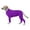 Purple, variant on Lovebay Dog High Stretchy Recovery Suit w Zip Closure-Pet Post Operative Jumpsuit for Small Medium Dogs Anti Shed Hair Shirt