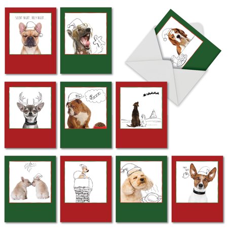 M6582XSB HOLIDAY DOGS & DOODLES' 10 Assorted Seasons Greetings Cards with Envelopes by The Best Card (Best Seasons Greetings Cards)