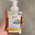 thumbnail image 5 of South Of France Hand Soap - Foaming - Almond Gourmande - 8 oz - 1 each, 5 of 5