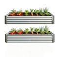 thumbnail image 3 of 2-Pack Silver Galvanized Metal Raised Garden Beds, 6'×3'×1', 3 of 18