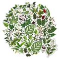 thumbnail image 5 of 35pcs Natural Stationery Stickers Botanical Kids Stickers Plant Graffiti Decals for Luggage Suitcase Fridge, 5 of 9