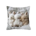 thumbnail image 2 of ddioayh Throw Pillow Cover Animal Print Soft Machine Washable 45x45cm for Sofa Chair Bedroom Home Decor Spring Easter Pet Theme Decorative Gift Idea, 2 of 6