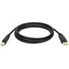 Tripp Lite U022-010 A-Male to B-Male USB 2.0 Cable (10ft)