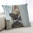 thumbnail image 1 of Ahgly Company Dogs Bulldog Coussin d'Intérieur, 18 Pouces par 18 Pouces, 1 of 6