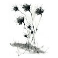 thumbnail image 2 of Randy Noble Fine Art 25x32 White Modern Wood Framed Museum Art Print Titled - Spring Sprouts, 2 of 4