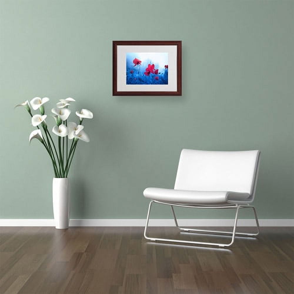 Trademark Fine Art "Jam for Poppies" Canvas Art by Philippe Sainte-Laudy, Wood Frame