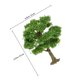 thumbnail image 2 of ELAYARD Árbol Para Micro Paisaje En Verde Con DIY Ideal Para Y Proyectos Creativos, 2 of 6