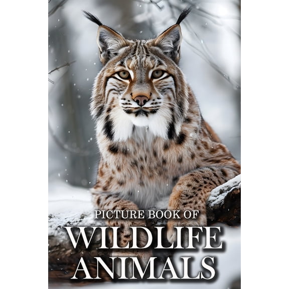 Wildlife Animals: Picture Books For Adults With Dementia And Alzheimers Patients - Beautiful Photos Of Wild Scenes with , (Paperback)